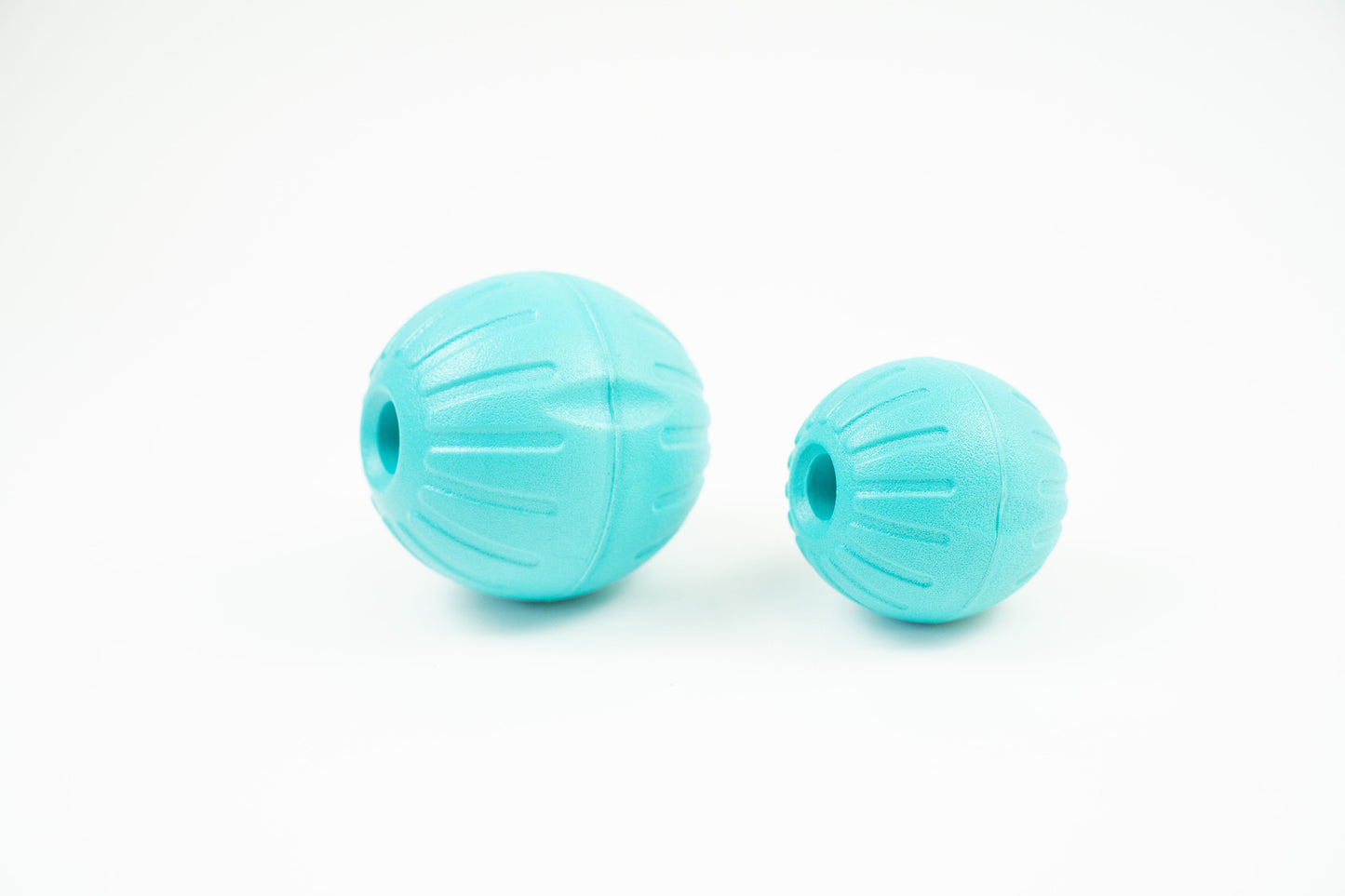 Foam Ball w/ Waterproof Handle
