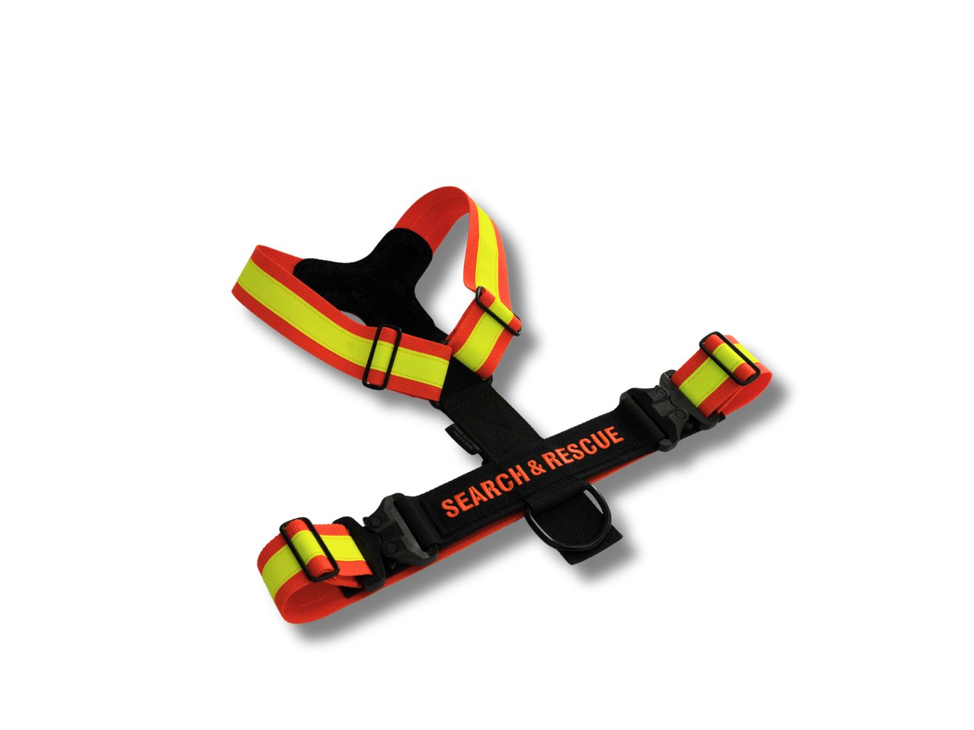 2" Polypro GT Harness w/ ID panel