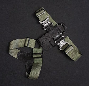 2" Polypro Tracking Harness
