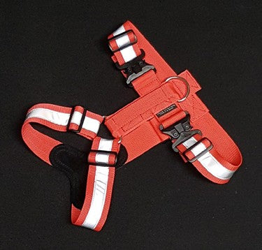 2" Ultra Reflective Tracking Harness