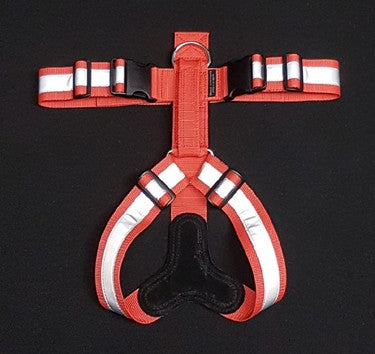 2" Ultra Reflective Tracking Harness