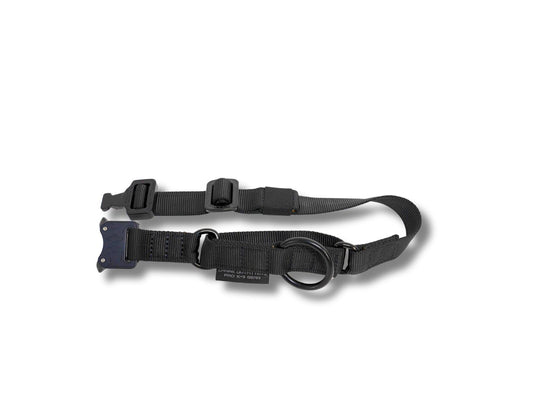 1" Cobra Buckle Martingale Collar