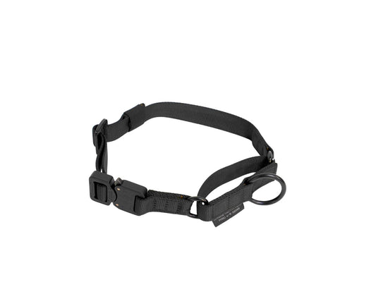 1" Cobra Buckle Martingale Collar