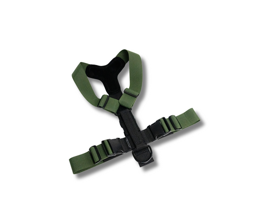 2" Polypro Tracking Harness