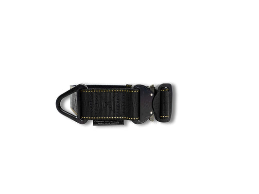 Black dog collar with a metal buckle on a white background
