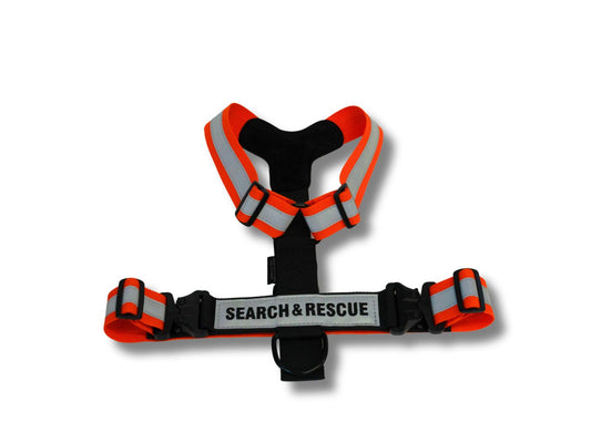 2" Polypro GT Harness w/ ID panel