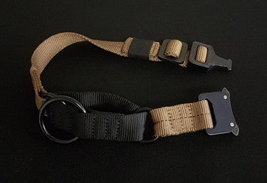 1" Cobra Buckle Martingale Collar