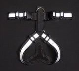 2" Ultra Reflective Tracking Harness